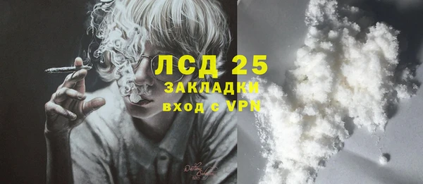 экстази Гусев