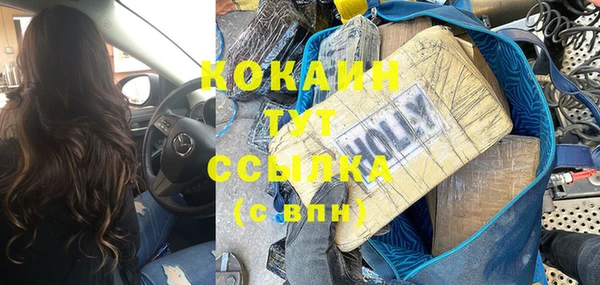 спайс Гусь-Хрустальный