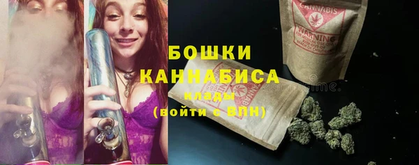 экстази Гусев