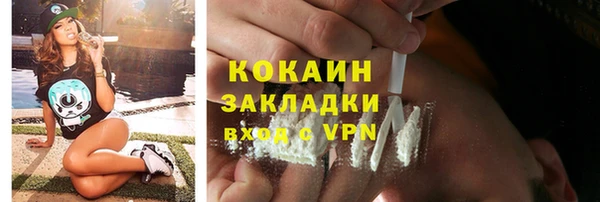 спайс Гусь-Хрустальный
