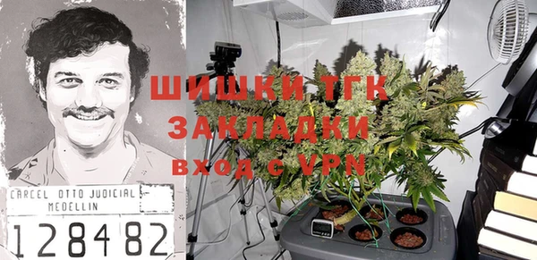 спайс Гусь-Хрустальный