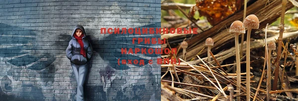 первитин Гусиноозёрск