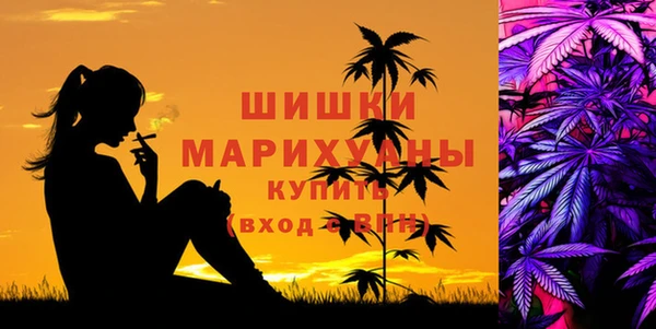 первитин Гусиноозёрск
